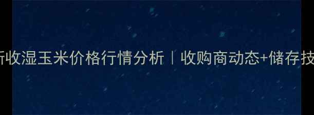 图片 佳木斯收湿玉米价格行情分析｜收购商动态+储存技巧全1