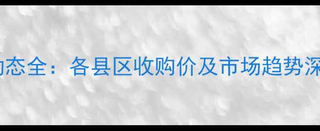 图片 保定玉米价格动态全：各县区收购价及市场趋势深度分析（9月）