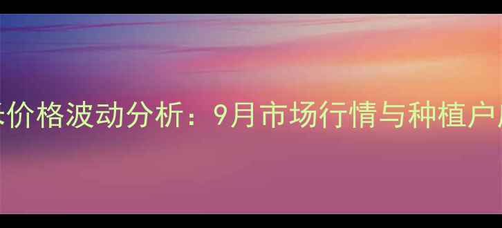 图片 保定玉米价格波动分析：9月市场行情与种植户应对策略
