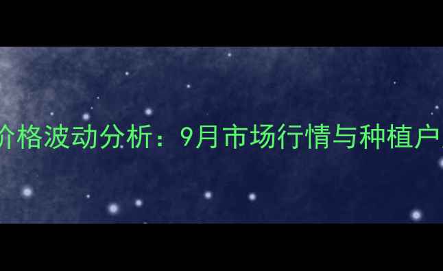 图片 保定玉米价格波动分析：9月市场行情与种植户应对策略2