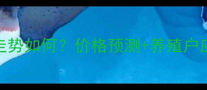 图片 保山毛猪价格走势如何？价格预测+养殖户应对策略全💸🐷