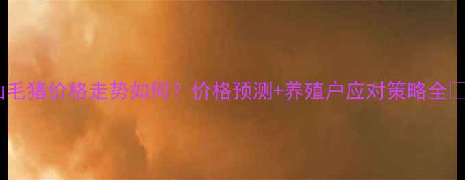 图片 保山毛猪价格走势如何？价格预测+养殖户应对策略全💸🐷1