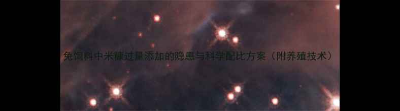 图片 兔饲料中米糠过量添加的隐患与科学配比方案（附养殖技术）