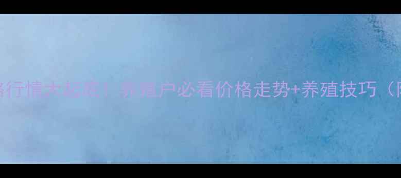 图片 全国活鸭价格行情大起底！养殖户必看价格走势+养殖技巧（附最新数据）