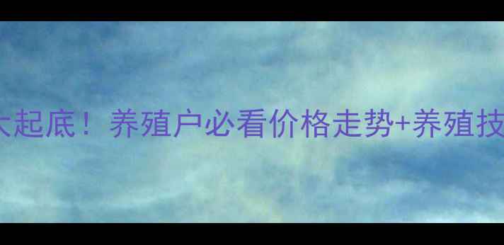图片 全国活鸭价格行情大起底！养殖户必看价格走势+养殖技巧（附最新数据）1