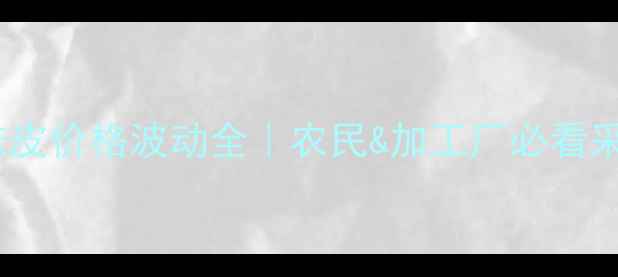 图片 全国玉米麸皮价格波动全｜农民&加工厂必看采购指南🌾1