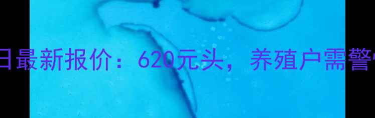 图片 全国生猪价格今日最新报价：620元头，养殖户需警惕三大波动因素1