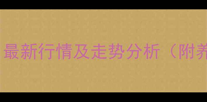 图片 全国生猪价格今日最新行情及走势分析（附养殖户应对策略）2