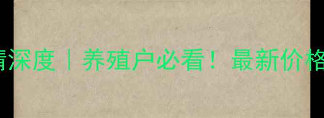 图片 全国白肉鸡价格行情深度｜养殖户必看！最新价格走势+养殖避坑指南