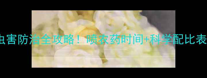 图片 全年用药指南枣树常见病虫害防治全攻略！喷农药时间+科学配比表（附用药误区避坑指南）1