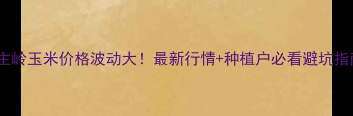 图片 公主岭玉米价格波动大！最新行情+种植户必看避坑指南1
