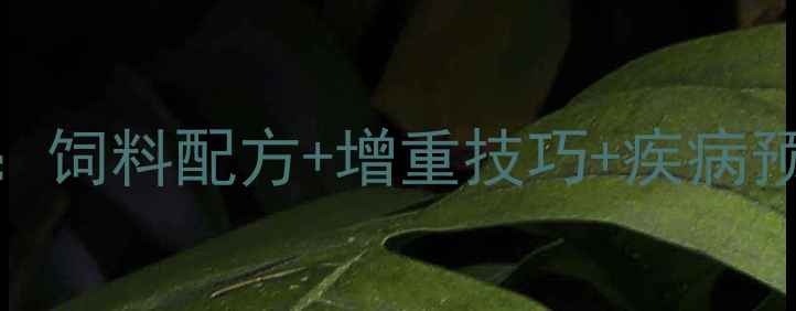 图片 公猪科学喂养全攻略：饲料配方+增重技巧+疾病预防（附详细配比表）