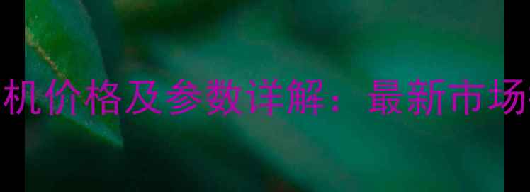 图片 六夫丁麦霸收割机价格及参数详解：最新市场报价与选购指南