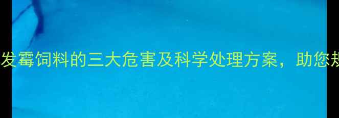 图片 养殖户必看！发霉饲料的三大危害及科学处理方案，助您规避养殖风险1