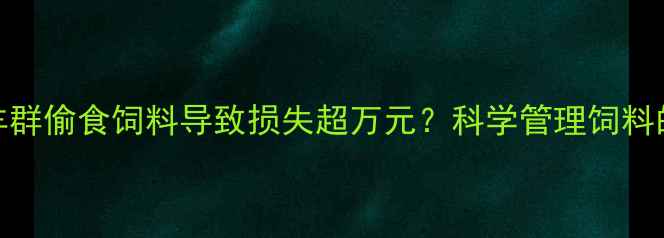 图片 养殖户必读！羊群偷食饲料导致损失超万元？科学管理饲料的5大防丢技巧2