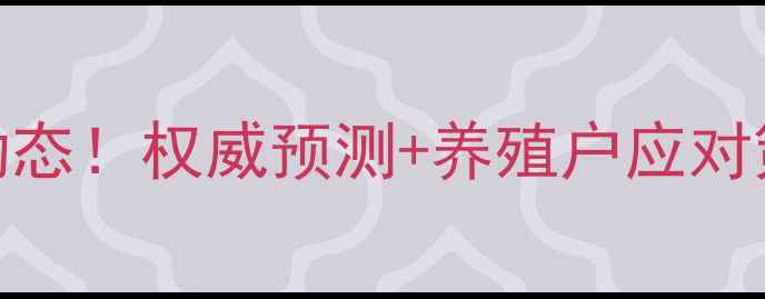 图片 内蒙古生猪价格最新动态！权威预测+养殖户应对策略全（附数据图表）
