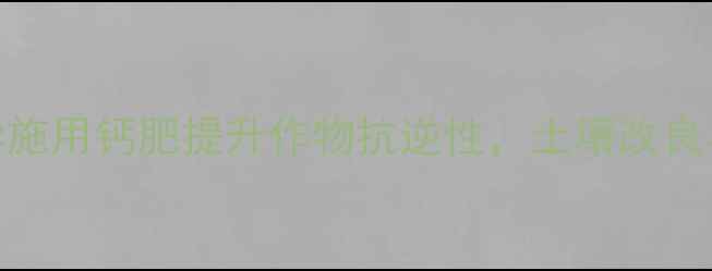 图片 农业种植必看！科学施用钙肥提升作物抗逆性，土壤改良与病虫害防治全攻略