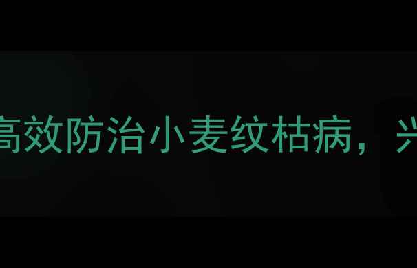 图片 农业资讯：春雷喹啉铜高效防治小麦纹枯病，兴农药业技术与应用指南
