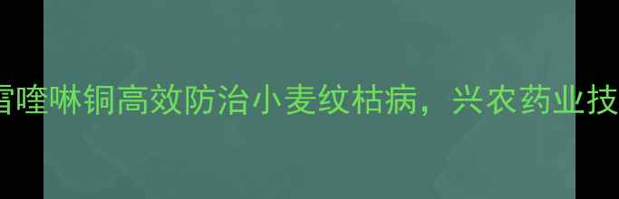 图片 农业资讯：春雷喹啉铜高效防治小麦纹枯病，兴农药业技术与应用指南1