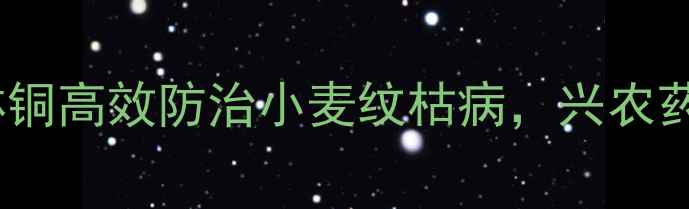 图片 农业资讯：春雷喹啉铜高效防治小麦纹枯病，兴农药业技术与应用指南2