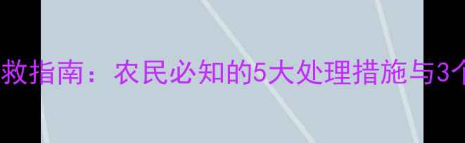 图片 农药中毒急救指南：农民必知的5大处理措施与3个预防误区2