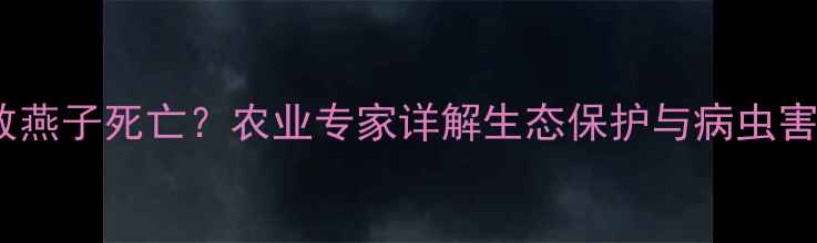 图片 农药使用不当致燕子死亡？农业专家详解生态保护与病虫害防治平衡之道1