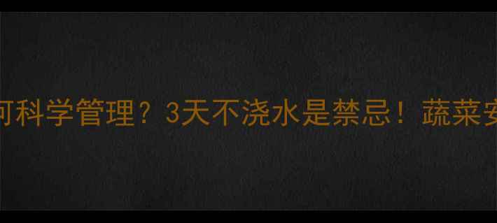 图片 农药喷施后如何科学管理？3天不浇水是禁忌！蔬菜安全养护全攻略