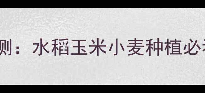 图片 农药推荐！叶优优效果实测：水稻玉米小麦种植必看！附使用技巧和价格表1