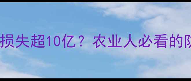 图片 农药泄漏事故频发！损失超10亿？农业人必看的防漏指南来了！🌾💦2