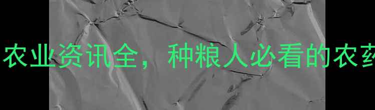 图片 农药网权威平台：农业资讯全，种粮人必看的农药使用与政策指南1