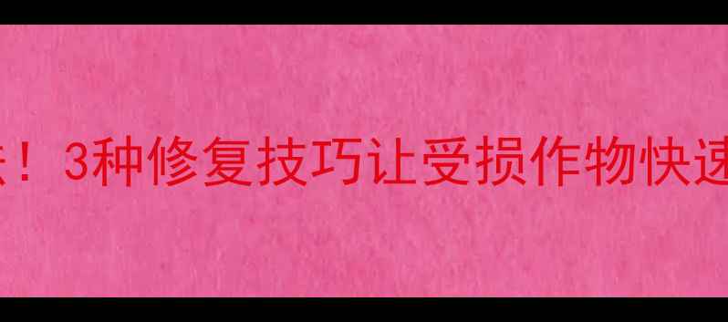 图片 农药药害3步急救法！3种修复技巧让受损作物快速恢复，新手必看！