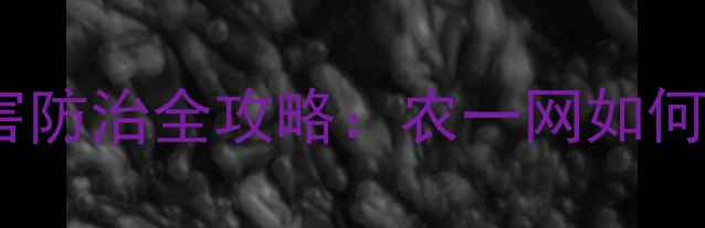图片 农药采购指南与农业病虫害防治全攻略：农一网如何助力现代农业高质量发展1