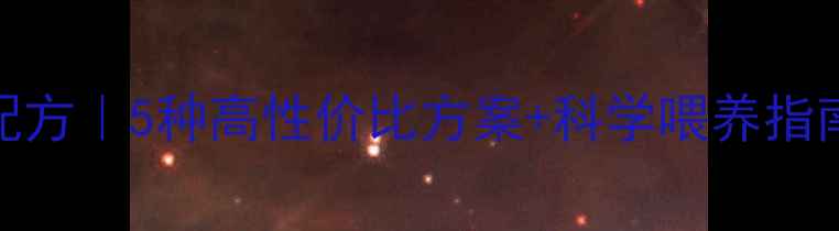 图片 冬季养殖防寒饲料配方｜5种高性价比方案+科学喂养指南（附成本对照表）