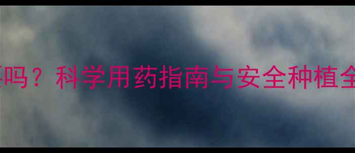 图片 冬瓜打农药有必要吗？科学用药指南与安全种植全（附种植案例）1