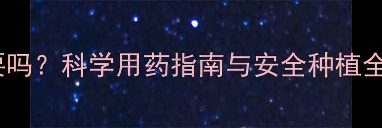图片 冬瓜打农药有必要吗？科学用药指南与安全种植全（附种植案例）2