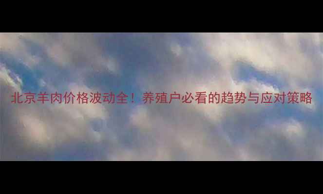 图片 北京羊肉价格波动全！养殖户必看的趋势与应对策略