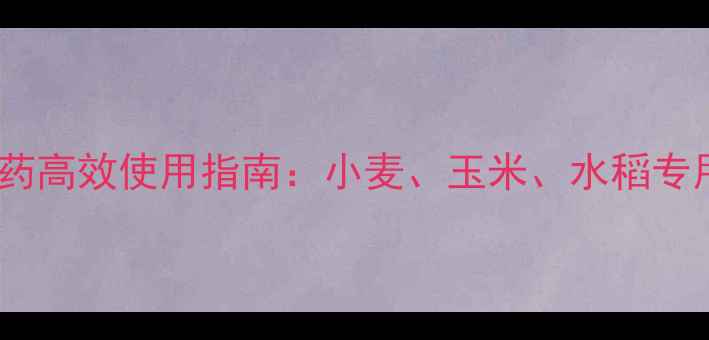 图片 北方作物低温期农药高效使用指南：小麦、玉米、水稻专用药剂及施用技巧1