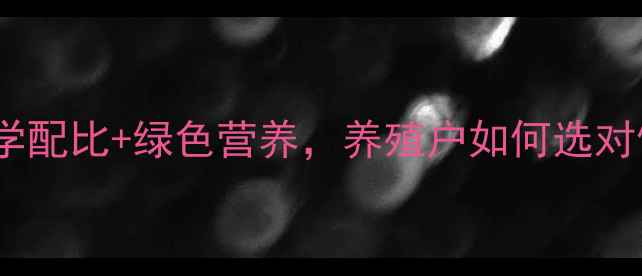 图片 北牧大饲料：科学配比+绿色营养，养殖户如何选对饲料降低成本？1