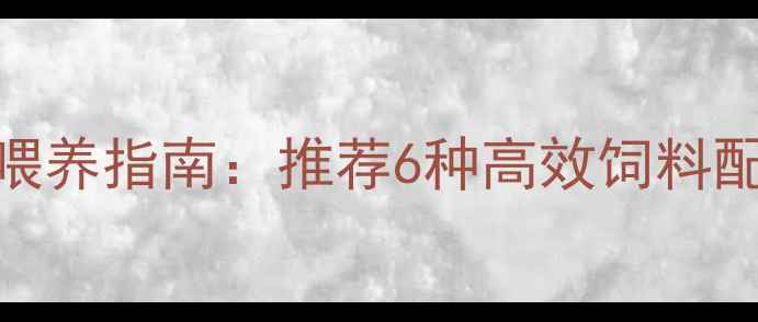 图片 十斤小猪科学喂养指南：推荐6种高效饲料配方及管理要点
