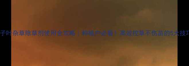 图片 单子叶杂草除草剂使用全攻略｜种植户必看！高效控草不伤苗的5大技巧2