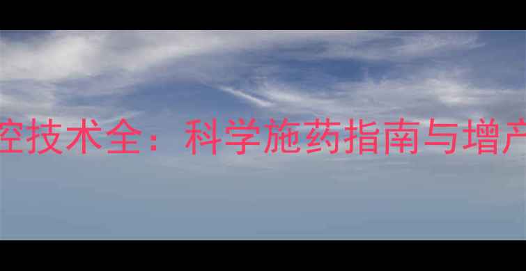 图片 南方玉米病虫害绿色防控技术全：科学施药指南与增产秘籍（广东广西湖南）