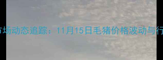 图片 南昌市生猪市场动态追踪：11月15日毛猪价格波动与行业趋势展望2
