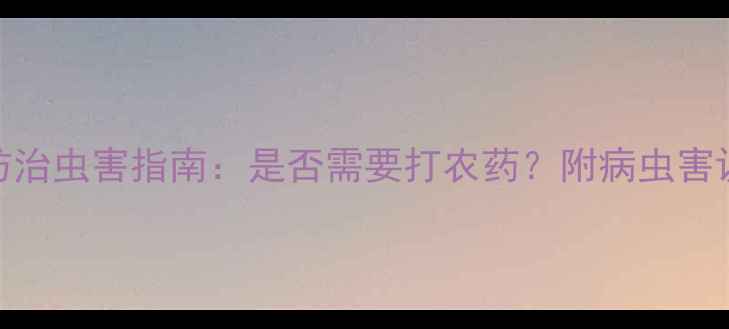 图片 南瓜种植必看！科学防治虫害指南：是否需要打农药？附病虫害识别与有机管理全攻略