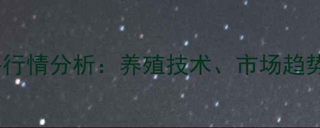 图片 南石金钱龟价格行情分析：养殖技术、市场趋势与投资前景全1