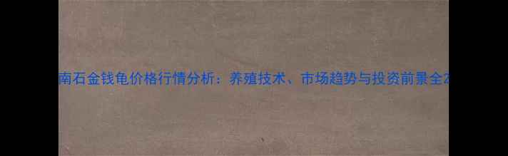 图片 南石金钱龟价格行情分析：养殖技术、市场趋势与投资前景全2