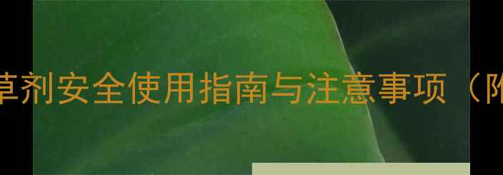 图片 双氟磺草胺：水稻田除草剂安全使用指南与注意事项（附详细配比和避障技巧）