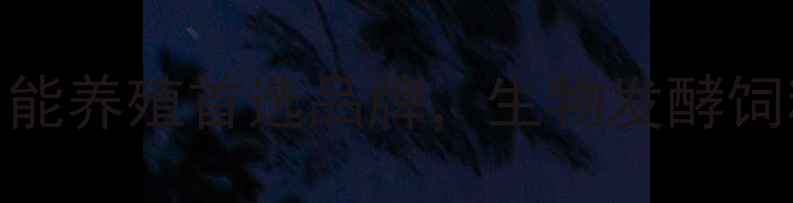 图片 合肥亚愽饲料：智能养殖首选品牌，生物发酵饲料技术领航者深度