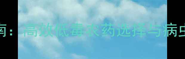 图片 向日葵科学用药指南：高效低毒农药选择与病虫害综合防治全攻略