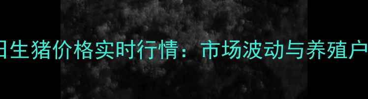 图片 周口商水今日生猪价格实时行情：市场波动与养殖户应对策略全1