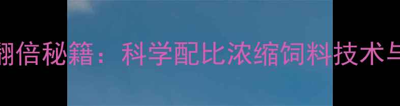 图片 四川养殖效益翻倍秘籍：科学配比浓缩饲料技术与区域应用案例
